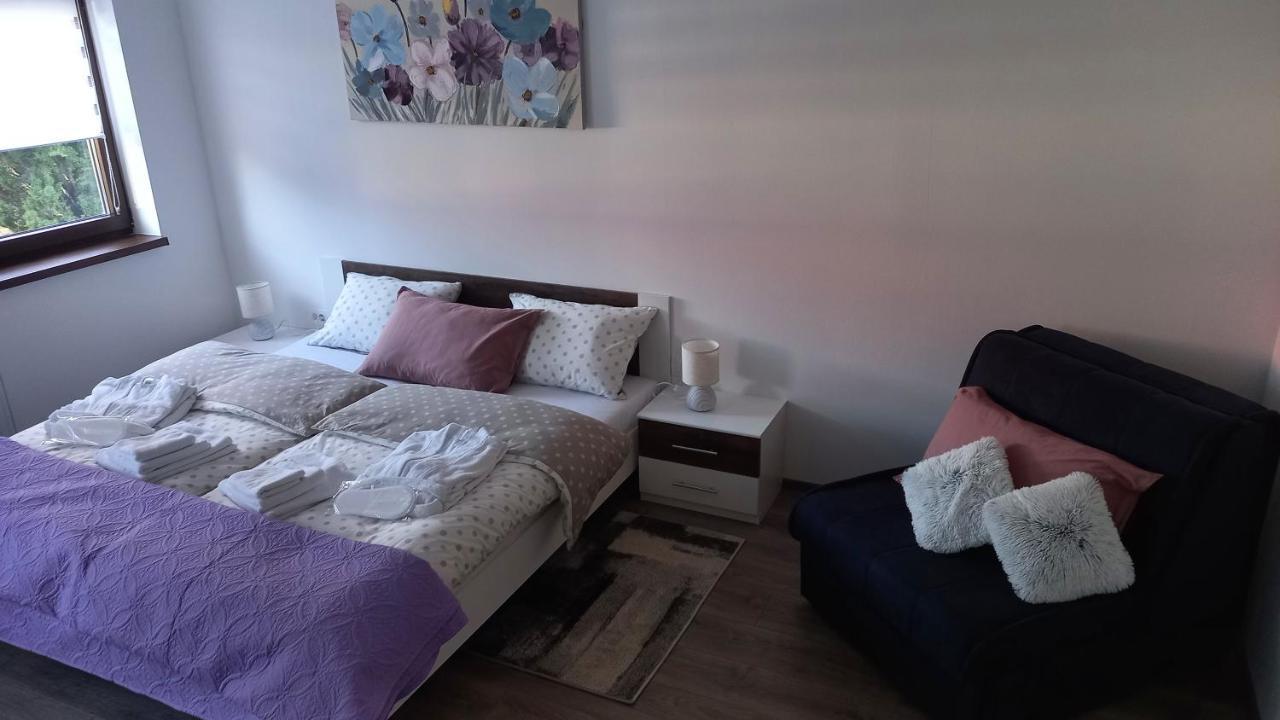 Apartament Gogo Delnice Zewnętrze zdjęcie