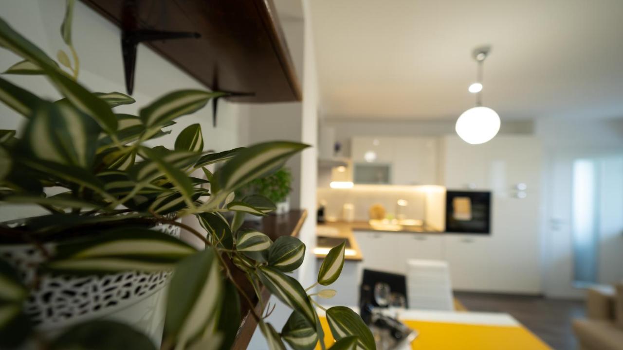 Apartament Gogo Delnice Zewnętrze zdjęcie
