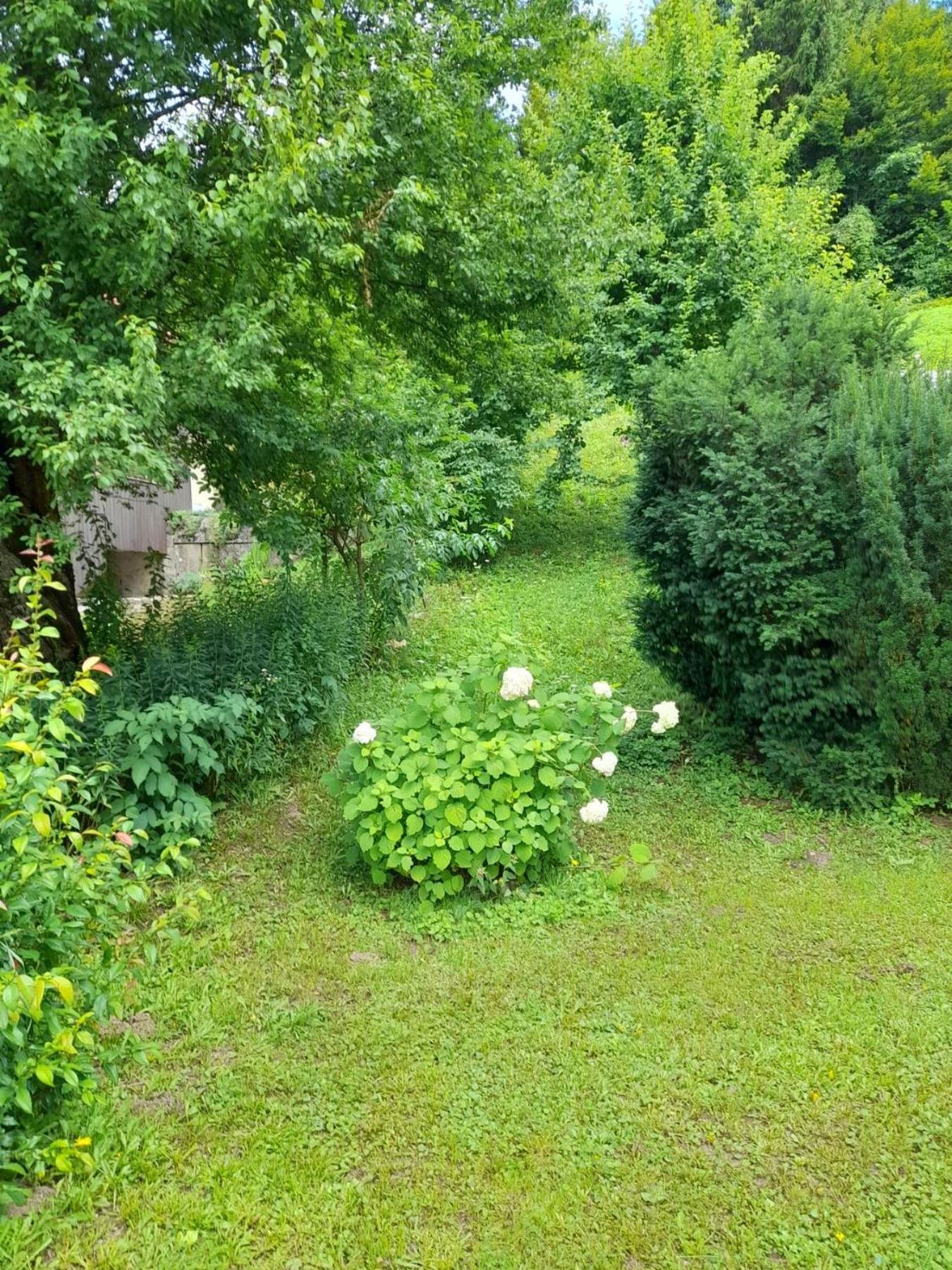 Apartament Gogo Delnice Zewnętrze zdjęcie