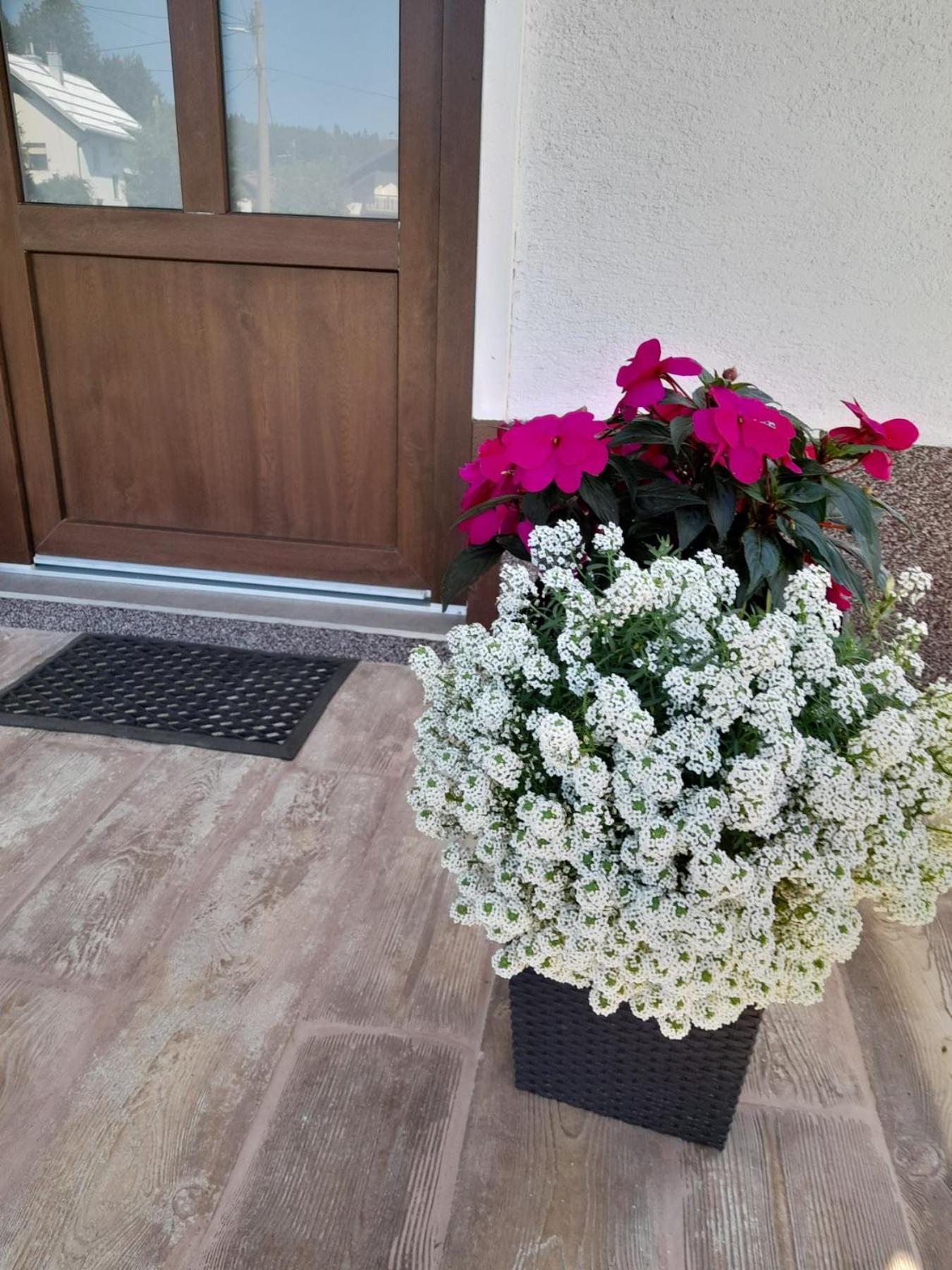 Apartament Gogo Delnice Zewnętrze zdjęcie