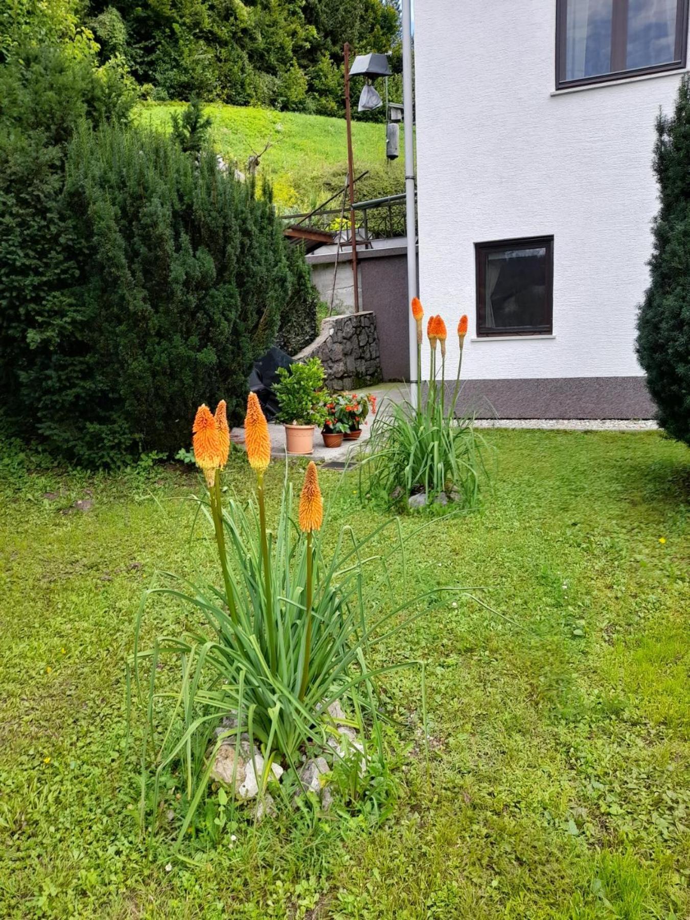 Apartament Gogo Delnice Zewnętrze zdjęcie